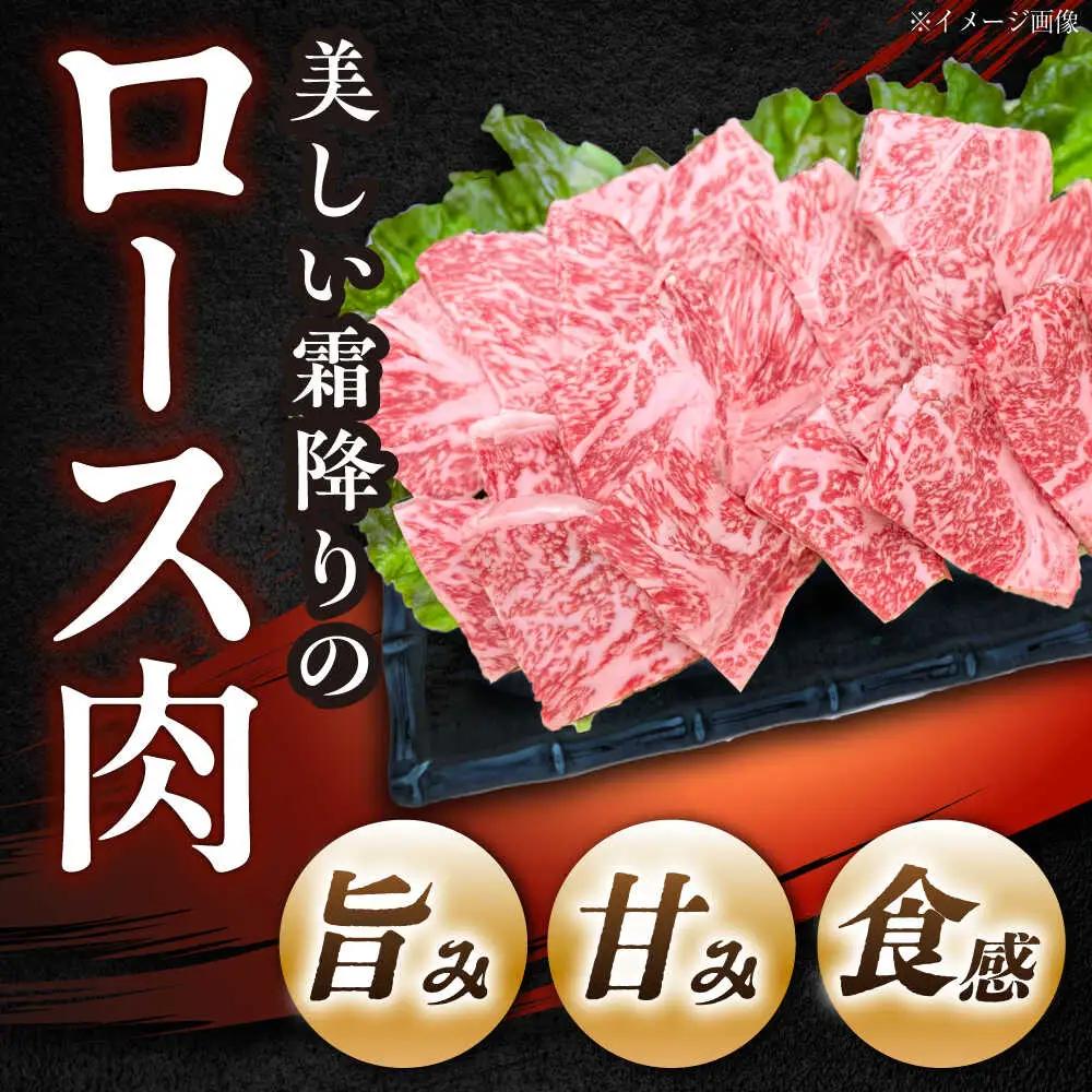 飛騨牛 A5 ロース 500g / 恵那市 / 東美濃農業協同組合 [AUFX008]