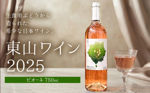 東山ワイン2025 750ml ピオーネ  東山農園《30日以内に出荷予定(土日祝除く)》 岡山県 笠岡市 ブドウ 葡萄 ギフト お取り寄せ 送料無料