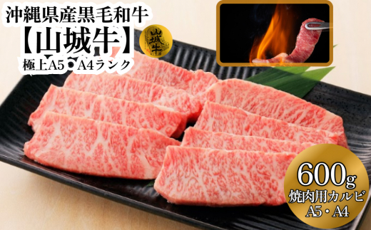 
A5・A4ランク　沖縄県産黒毛和牛《山城牛》焼肉用カルビ600g
