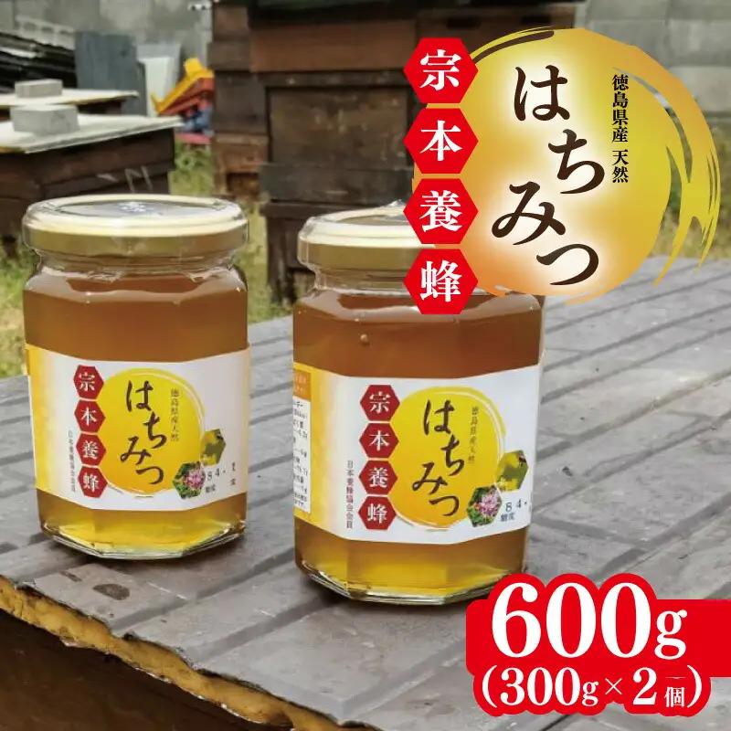 はちみつ 天然 300g 2個 はちみつ