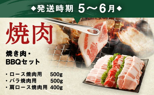 【3回定期便】大分県産ブランド豚「米の恵み」季節の定期便セット 計4.8kg（1～2月・5～6月・9～10月）定期便 豚肉