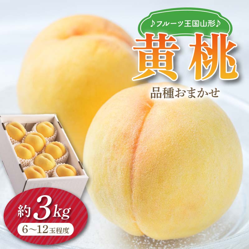 【ふるさと納税】 【先行予約 2026年度発送】♪フルーツ王国山形♪黄桃 もも モモ 桃 デザート フルーツ 果物 くだもの 果実 食品 山形県 FSY-2479