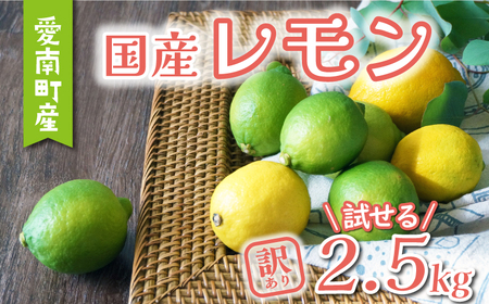 【先行予約：2026年11月上旬～発送】 訳あり レモン3kg 6000円 柑橘 檸檬 国産 れもん フルーツ 果物 果実 産地直送 農家直送 数量限定 期間限定 特産品 瀬戸内 ワックス 防腐剤 不使用 わけあり 人気 新鮮 少量 お試し レモネード 塩レモン レモンソース はちみつレモン あいなんマザーズ 愛南町 愛媛県