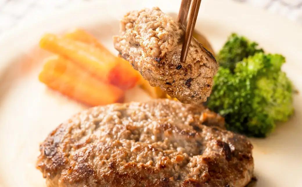 ビアドリット 但馬牛ハンバーグ 12個 国産牛・鶏肉合挽き 個包装 冷凍 化粧箱入り レシピ付き