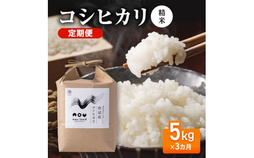 【先行予約】令和8年産 定期便 コシヒカリ精米5kg×3カ月