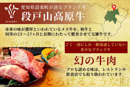 【全12回 定期便】 段戸山高原牛 切り落とし 1kg (200g×5）定期便 牛肉 肉 国産牛 焼肉 すき焼き しゃぶしゃぶ 不揃い 冷凍 愛知県 設楽町 国産 牛肉 牛 スライス 小分け 大満足 