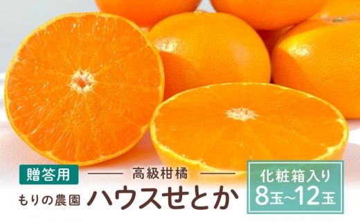 高級柑橘 贈答用ハウスせとか化粧箱8玉～12玉 2027年2月中旬～発送予定【産地直みかん せとか 柑橘 果物 フルーツ  人気 おすすめ 瀬戸内 広島県  尾道市】