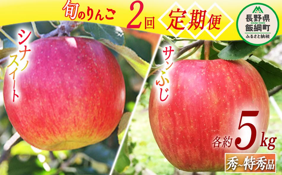 旬のりんご 【 定期便 】 秀 ～ 特秀 5kg × 2回 神谷農園 沖縄配送不可 2024年10月上旬頃～2024年12月中旬頃まで順次発送予定 令和6年度収穫分 長野県 飯綱町 [0776]