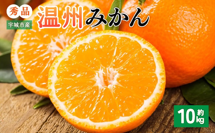 
                  先行予約 みかん 秀品 10k【(2026年10月上旬～2027年1月下旬までに発送予定】柑橘 フルーツ 果物 くだもの 贈答用 ギフ
                