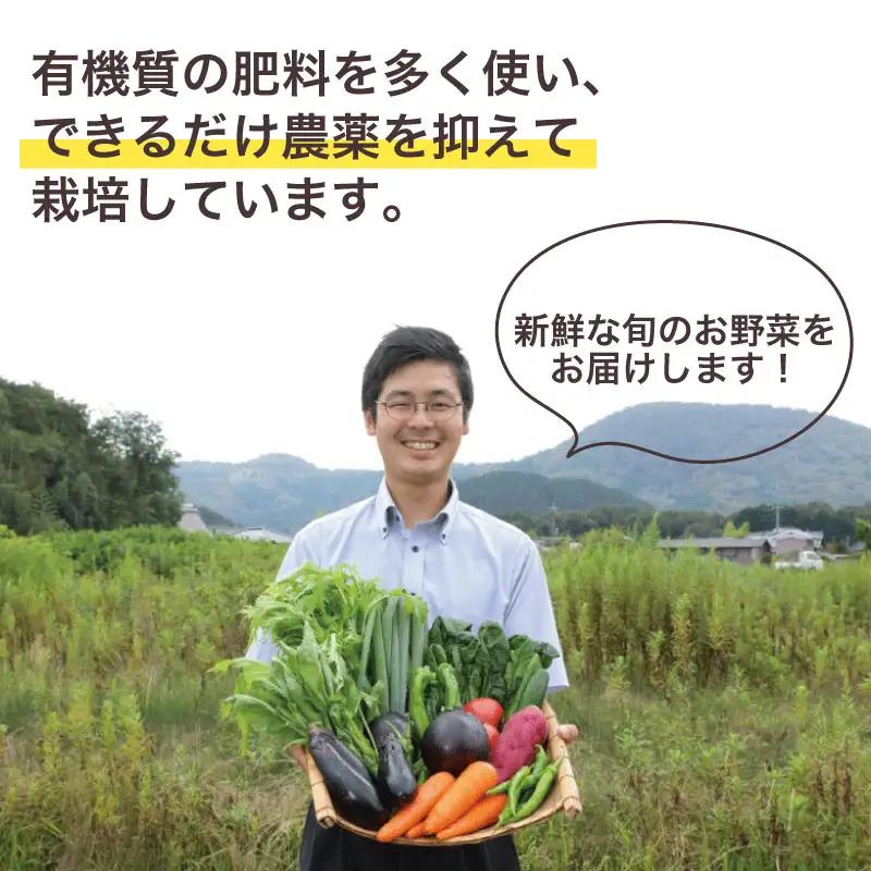 【定期便3回】京野菜セット 4~6種  定期便 レギュラーコース 野菜定期便 