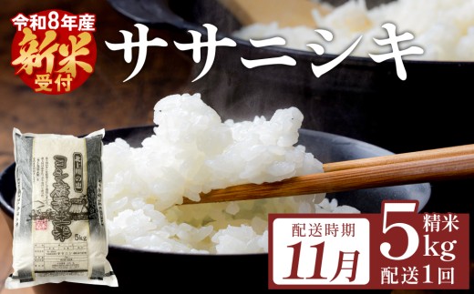 【11月配送】米 令和8年産 （先行予約） ササニシキ 精米 5kg 単品 こめ コメ お米 ご飯 白米 ささにしき