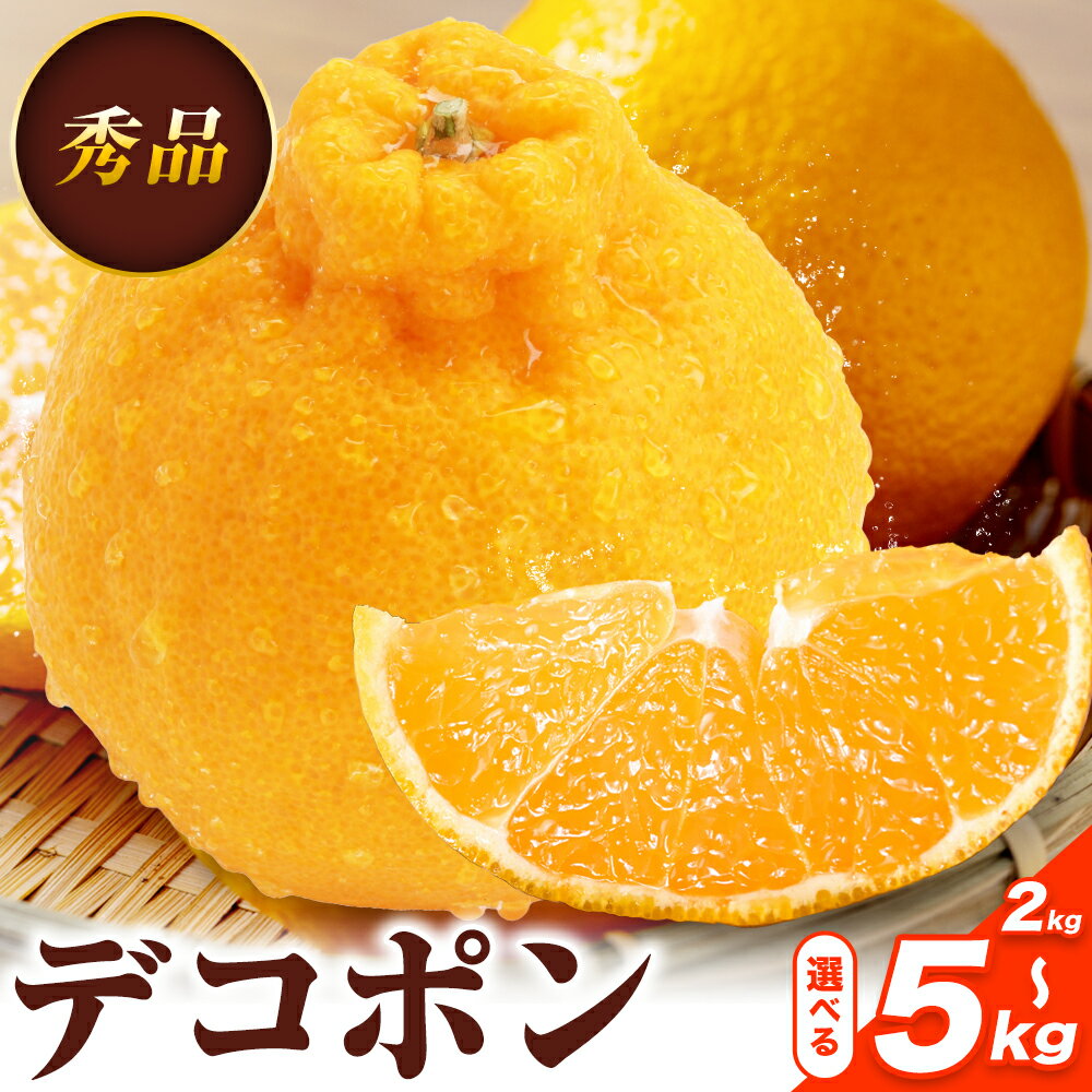 【ふるさと納税】デコポン 選べる 内容量 約2kg〜約5kg 日本フルーツ株式会社 熊本県 長洲町 《12月中旬-4月上旬頃出荷》 デコポン 果物 秀品 フルーツ スイーツ デザート ギフト ご贈答