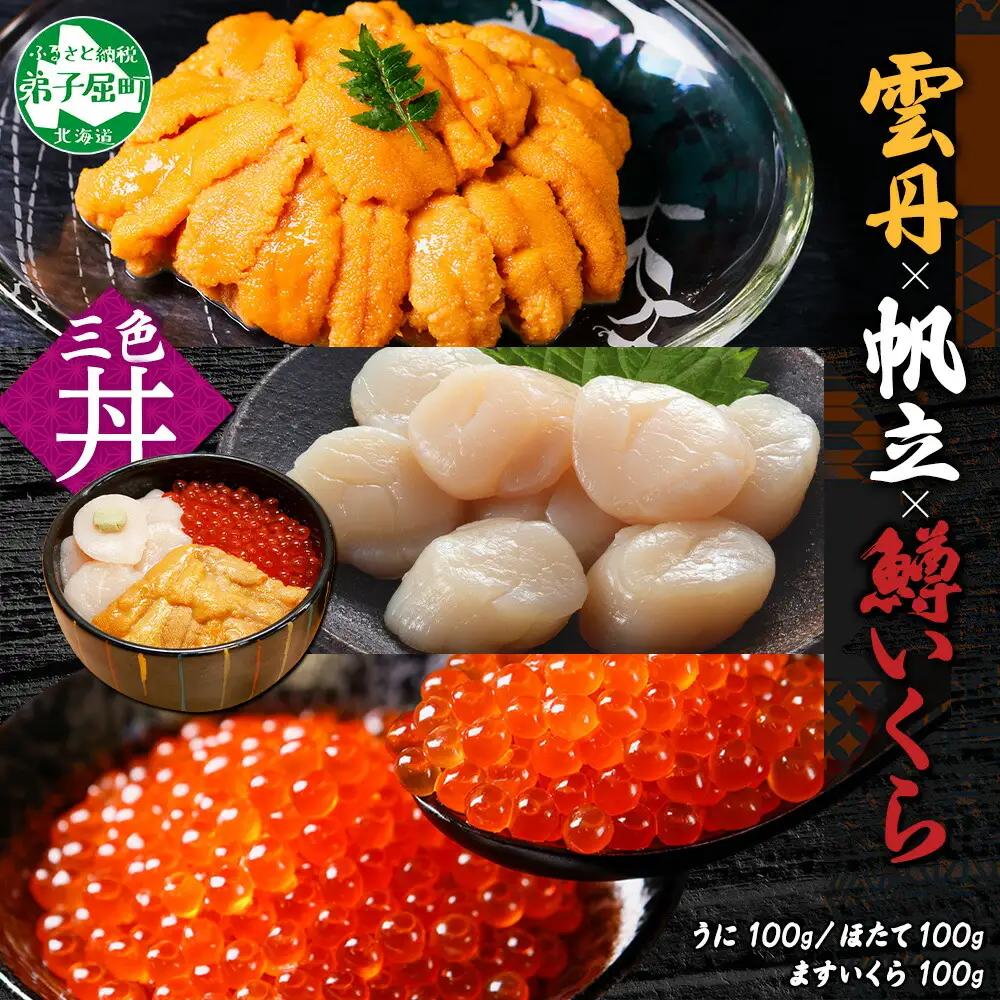 うに チリ産 冷凍 100g 鱒いくら醤油漬け 100g ホタテ 100g セット ウニ 雲丹 いくら イクラ ますいくら ほたて 帆立 海鮮 海鮮丼 三色丼 送料無料 北海道 弟子屈町 3627