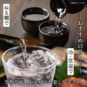 生駒隧道　月の旅人―Tabito―　【晩夏】　ふるさと納税 お酒 清酒 日本酒 贈り物 お祝い プレゼント ギフト お土産 中本酒造店 奈良県 生駒市 送料無料