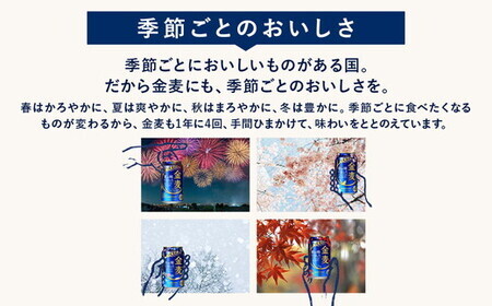 【12か月定期便】 サントリー　金麦（350ml×24本）