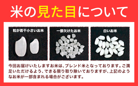 【隔月定期便 計6回】無洗米星ふる米 10kg 無洗 mt