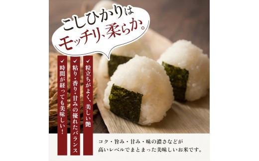 【1月下旬より配送】令和8年（新米） 新潟県上越市産 コシヒカリ 20kg 3か月定期便 無洗米 こしひかり お米 精米 米 ご飯 定期 五つ星お米マイスター 大黒屋商店