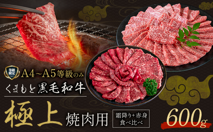 黒毛和牛 くまもと黒毛和牛 A4-A5等級 霜降り 赤身 食べ比べ セット 焼肉用 600g 牛肉《3-7日以内に出荷予定(土日祝除く)》焼肉 焼き肉