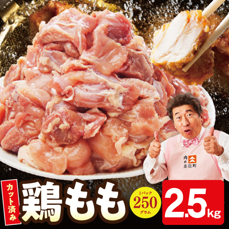 【小分け】国産鶏もも肉 2.5kg（250g×10P） 【カット済み 氷温熟成×極味付け 簡単調理 訳あり サイズ不揃い 鶏肉 とり 】 mrz0446