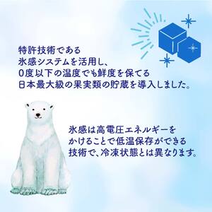 熟生シャインマスカット 【限定100箱】 約2kg (3~5房入り) 青秀以上 ぶどう マスカット【OS012】