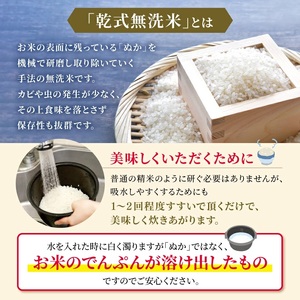 熊本県産 森のくまさん 無洗米 10kg | 小分け 5kg × 2袋  熊本県産 こめ 米 無洗米 ごはん 銘柄米 ブランド米 単一米 人気 日本遺産 菊池川流域 こめ作り ごはん ふるさと納税 返