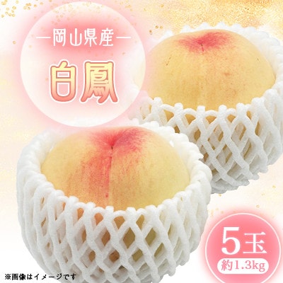 2026年先行予約　白鳳　5玉(エース)【配送不可地域：離島】【1673192】