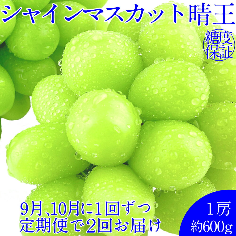 【ふるさと納税】晴王 シャインマスカット晴王 1房 約600g 岡山県産 種無し 皮ごと食べる みずみずしい 甘い フレッシュ 糖度保証 クール発送 瀬戸内 晴れの国 おかやま 果物大国 満天フルーツ ぶどう 送料無料 【先行予約：2026年9月上旬～10月下旬発送予定 2回定期便】