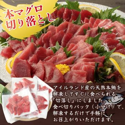 ふるさと納税 室戸市 2回定期便　本マグロとかつおの定期便
