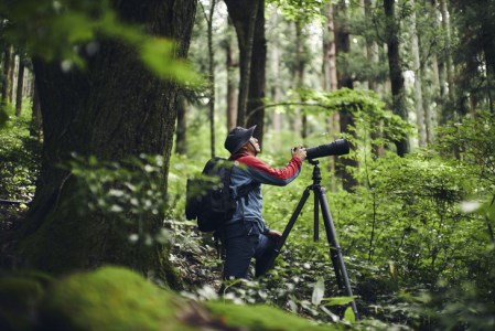 【キヤノンEFマウント】SIGMA 150-600mm F5-6.3 DG OS HSM | Contemporary（数量限定）カメラ レンズ 家電 