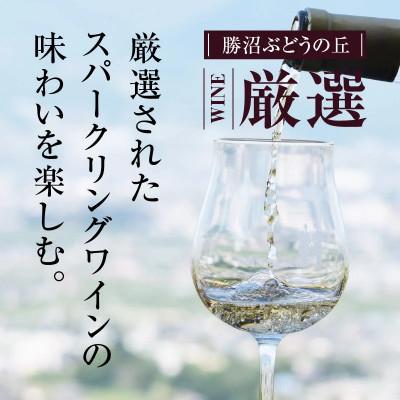 ふるさと納税 甲州市 勝沼ぶどうの丘推奨スパークリングワイン6本セット(KBO)F-603 |  | 01