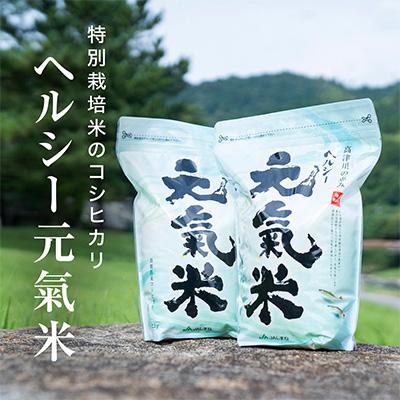 ふるさと納税 津和野町 高津川の恵み 特別栽培米ヘルシー元氣米2kg×2袋(4kg)(令和7年産)