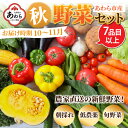 【ふるさと納税】【先行予約】農家直送 秋野菜セット 1箱 7品目以上 《元気に育った新鮮野菜！》／ 5000円 季節 秋 野菜 ボックス BOX セット セレクト 農家 おまかせ 多品目 旬 詰め合わせ 福井 あわら市 ※2024年10月下旬以降発送