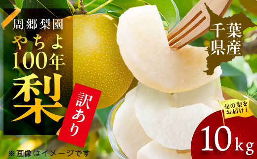 
                  2026年発送先行受付 周郷梨園のやちよ100年梨家庭用(10kg)【1493893】
                