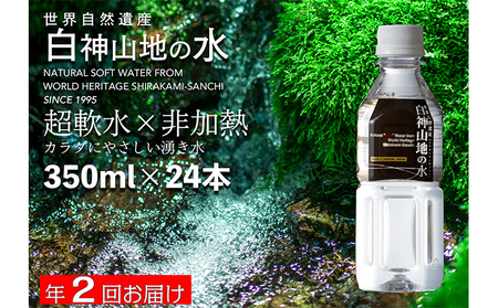 【年2回定期便】天然水 350ml × 24本 白神山地 ミネラルウォーター 軟水 天然水
