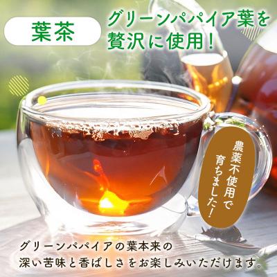 ふるさと納税 宮崎県 グリーンパパイアティー 2種 セット (果実茶&葉茶) ティーバッグ 計4袋 宮崎県産 |  | 02