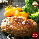 【ふるさと納税】数量限定 大分県竹田産 豊後牛の ハンバーグ 100g×3個 合計300g 和牛日本一！ 豊後牛 牛肉 九州産 国産 冷凍 送料無料