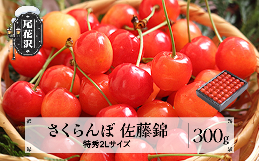 先行予約 さくらんぼ 佐藤錦 特秀2Lサイズ 300g 贈答用 化粧箱入 プレゼント ギフト 2026年産 令和8年産 山形県産 ns-snt2x300