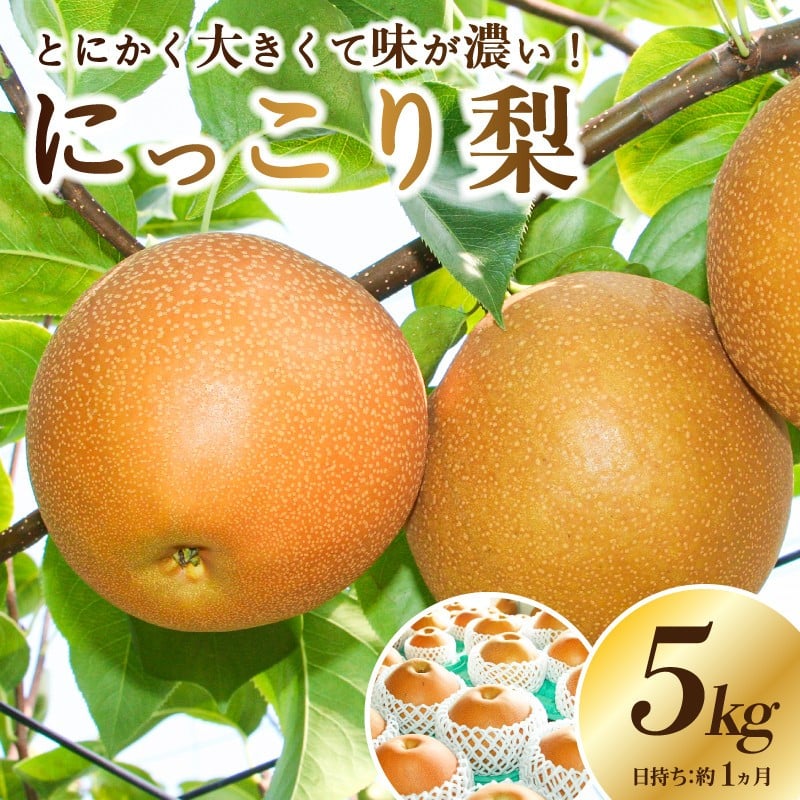 
            ＜2025年10月上旬～発送開始＞JAなすの産　梨　にっこり　5kg 【栃木県共通返礼品】
          