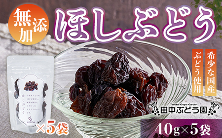 ほしぶどう 40g×5袋  国産 ドライフルーツ 無添加 保存食  食物繊維 鉄分 おやつ おつまみ