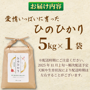 米 5kg 令和7年度産 ヒノヒカリ ご飯 米 米 米