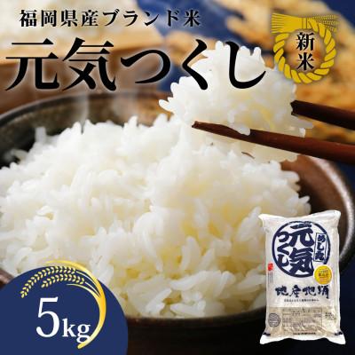 ふるさと納税 筑前町 【化粧箱入り】!!令和7年産 福岡県産米 元気つくし 5kg(5kg×1袋)(筑前町)