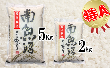 【令和7年産】【定期便：10Kg×6ヶ月】特別栽培 生産者限定  南魚沼しおざわ産コシヒカリ【2025年10月上旬より順次発送予定】