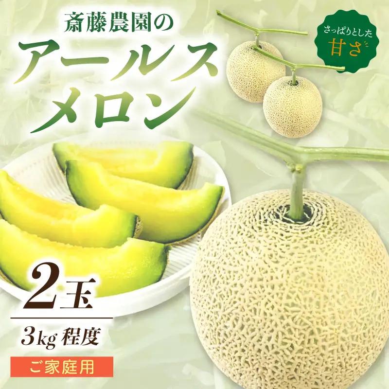 アールスメロン(マスクメロン) 2玉 3kg程度 糖度13度程度≪家庭用≫【配送不可地域：北海道・青森・秋田・岩手・沖縄・離島】【1354】