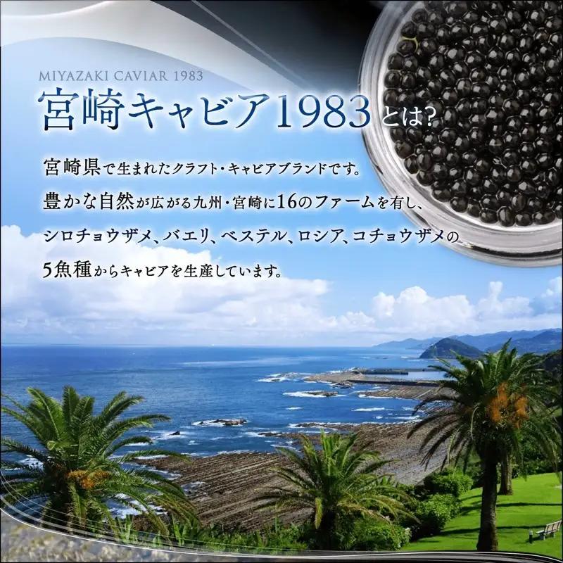 《宮崎市限定 宮崎キャビア1983》京都吉兆オリジナル 熟成うま味キャビア 12g キャビア 和風 ギフト