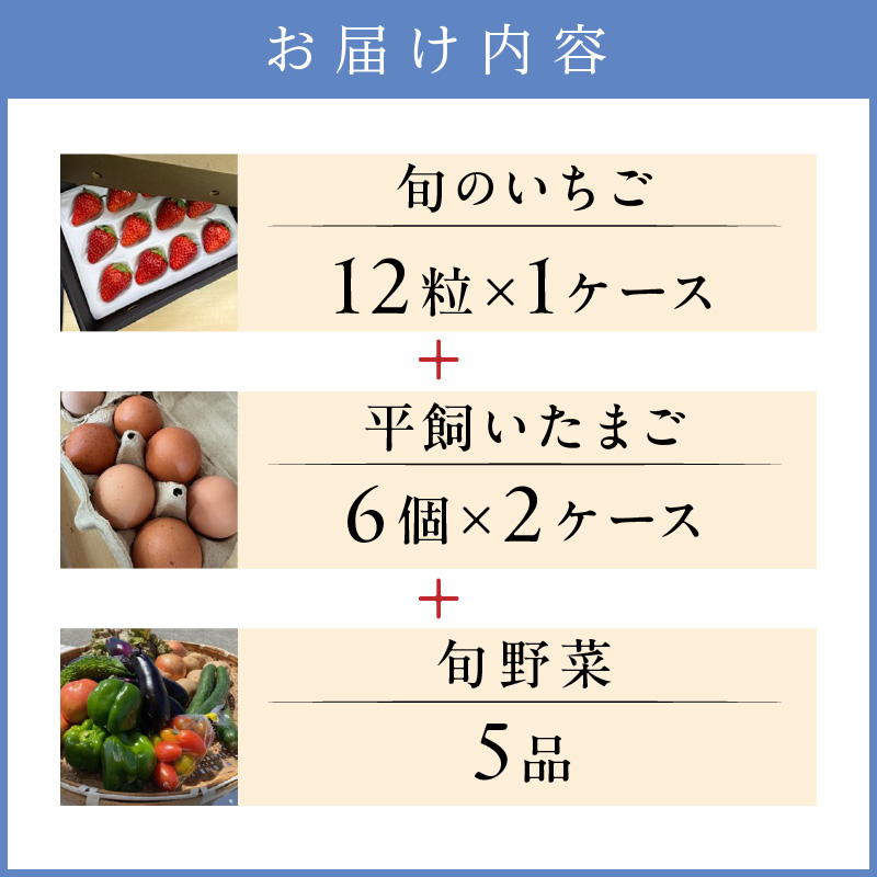 【2026年12月下旬～2027年5月発送予定】泉南市産　旬のいちご・平飼いたまご・旬野菜5品セット ※お届け不可地域あり【015D-027-2027】