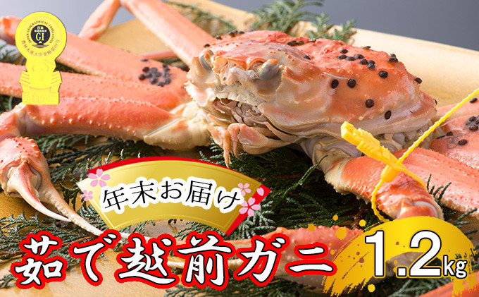 
茹で 越前ガニ 約1.2kg以上 1杯 年末配送 食通もうなる本場の味をぜひ、ご堪能ください 越前かに 蟹 カニ かに ボイルカニ ボイル蟹 ポーション ズワイガニ ずわい蟹 海鮮 福井 福井県 若狭町 [№5580-0597]
