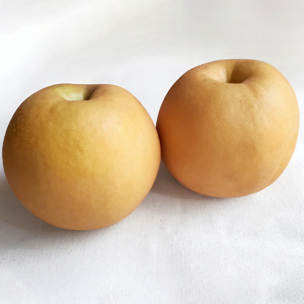 【ふるさと納税】あたご梨〈選べる 容量〉約1.8kg(2玉) / 約4kg(3～6玉) 梨 和梨 なし ナシ 果物 フルーツ デザート おやつ お取り寄せ 岡山県産 送料無料【2025年11月下旬～12月下旬迄発送予定】