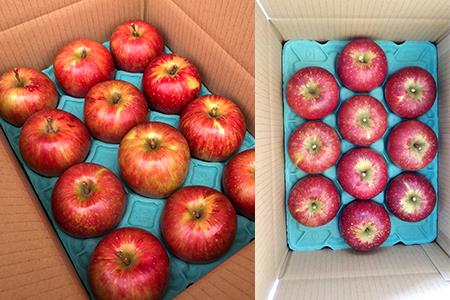 『予約受付』【令和6年8月中旬発送】厳選 九州旬のりんご 3キロ箱(8～12玉入) 九州 リンゴ 林檎 フルーツ 果物 つるが 秋映 紅将軍 シナノスイート シナノゴールド 3kg