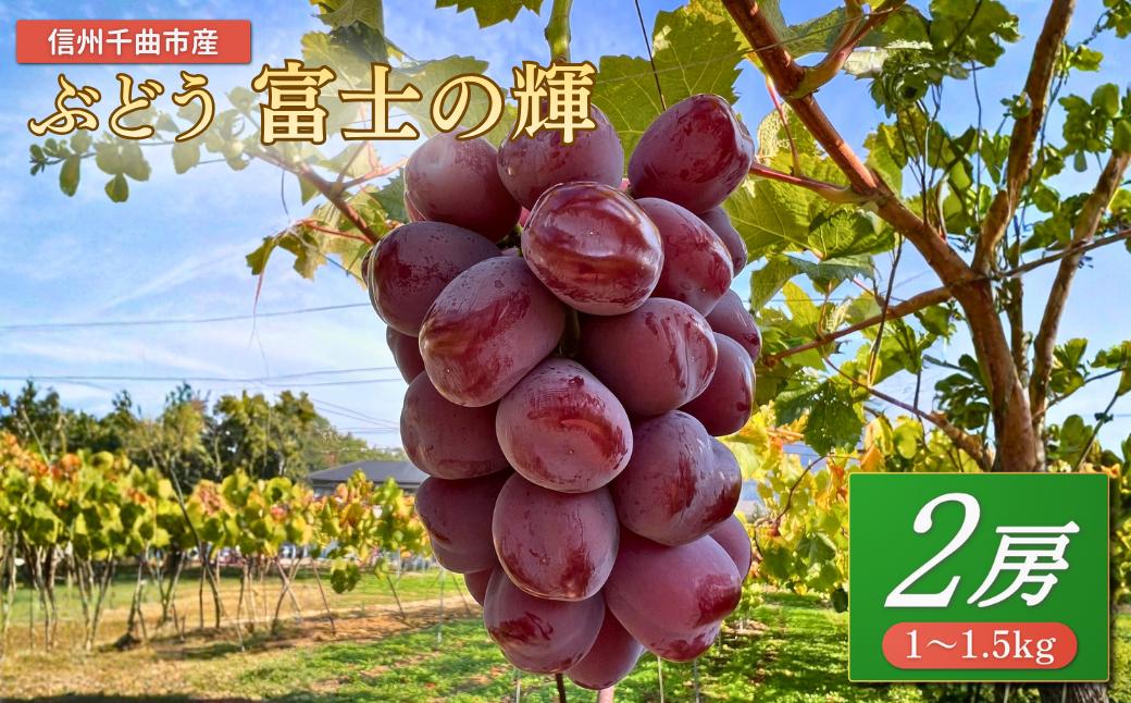 
             ぶどう 富士の輝 2房(約1~1.5kg) ｜ 果物 フルーツ 富士の輝き ブラックシャインマスカット 黒ぶどう 数量限定 合計５箱のみ 種無し 皮ごと 千曲市 長野県産 信州
          