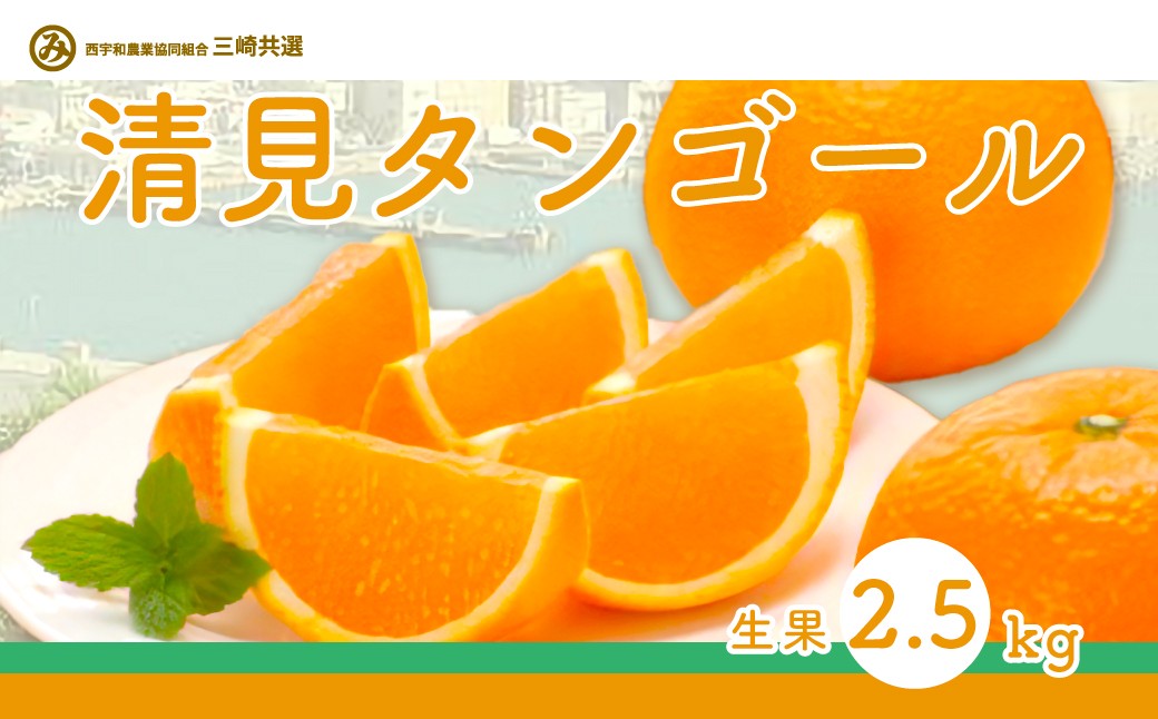 
                  【先行予約】清見タンゴール（生果2.5kg）※離島への配送不可（2027年3月上旬～4月上旬頃より順次発送予定）【 ふるさと納税 人気 おすすめ ランキング 柑橘 みかん ミカン 清見 清見タンゴール mikan 蜜柑 果物 生果 フルーツ 愛媛県産 愛媛県 伊方町 送料無料 】 IKTBD014
                